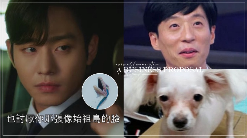 ��������ĺ����̵�